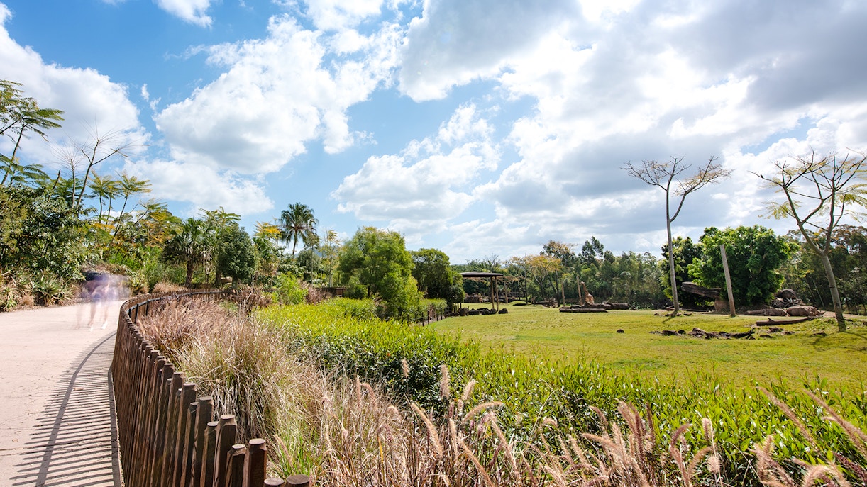 Irwin family member handling a crocodile in Australia Zoo arena.