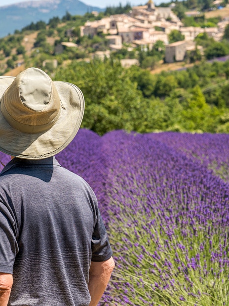 Person walking through lavender fields in Sault, France, with village in the background.