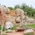 Bioparc Valencia