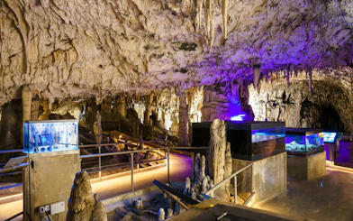 Stalactites and stalagmites inside Postojna Cave, Slovenia, with illuminated pathways.