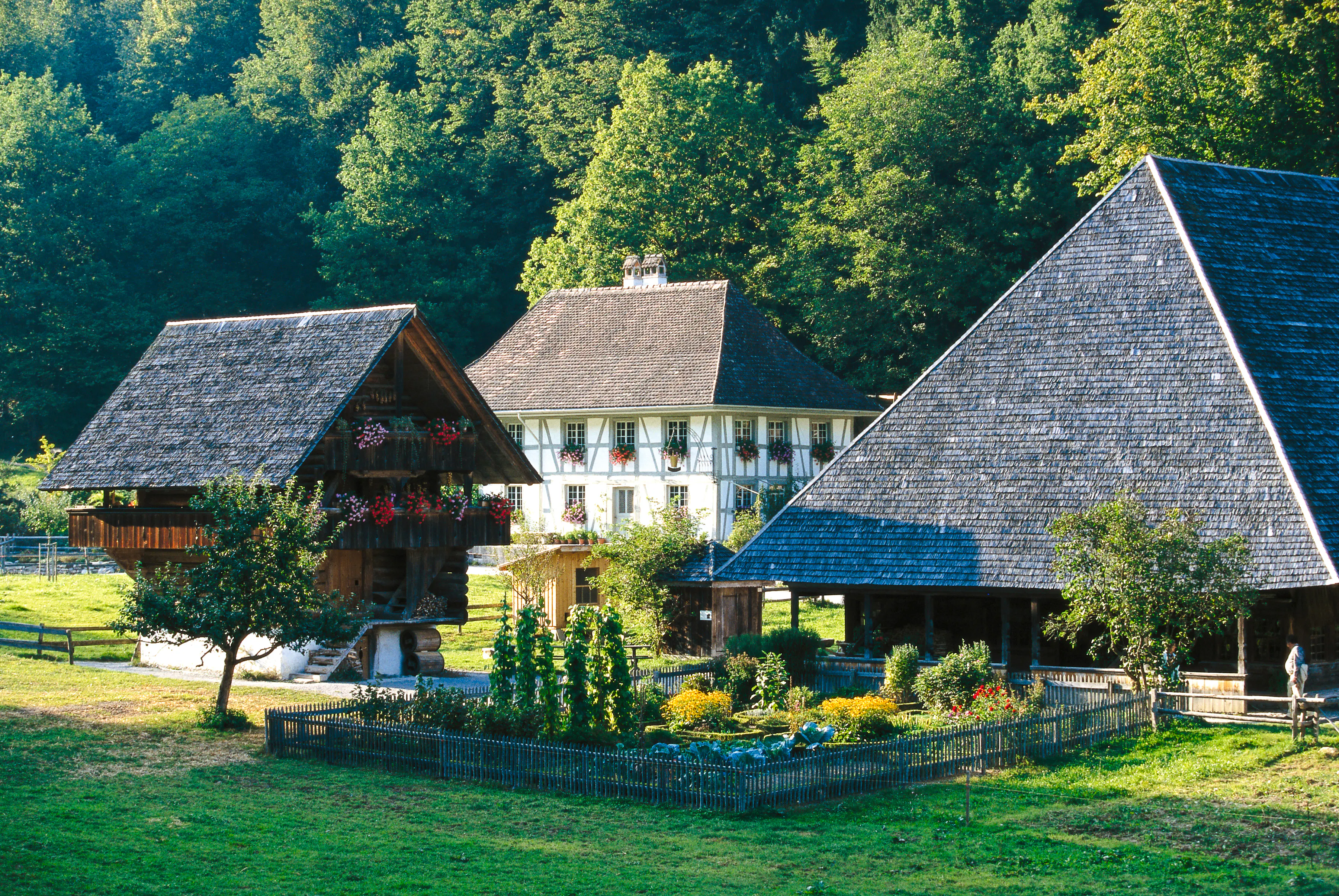 billetter til ballenberg sveitsisk friluftsmuseum-1