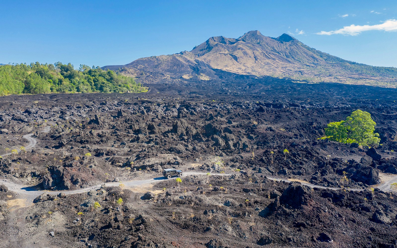 Black Lava Fields