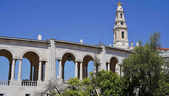 Gran encina en el Santuario de Fátima