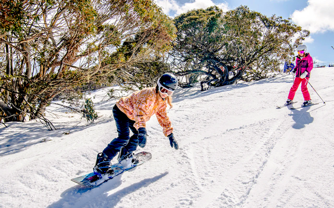 Depuis Melbourne : Visite du Mt Buller avec navettes et entrée au centre de villégiature