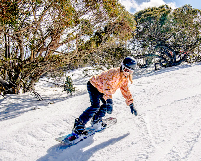 From Melbourne: Mt Buller Day Tour with Transfers & Resort Entry