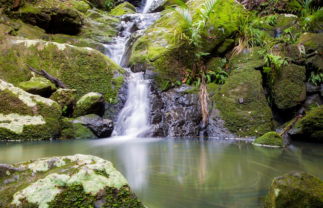 Cascades Waterfall flowing through lush forest on Waiheke Island, New Zealand.