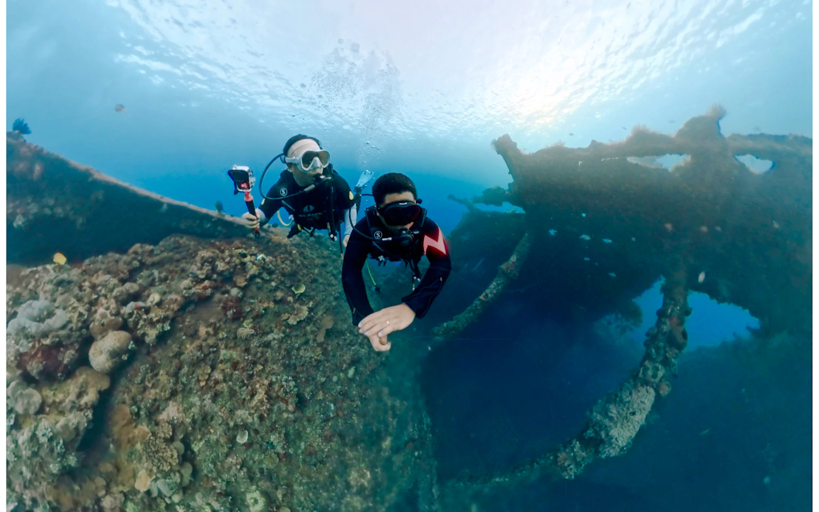 USAT Liberty Shipwreck & Coral Garden Beginner Dives with Private Guide and Round-Trip Hotel Transfers Image 5