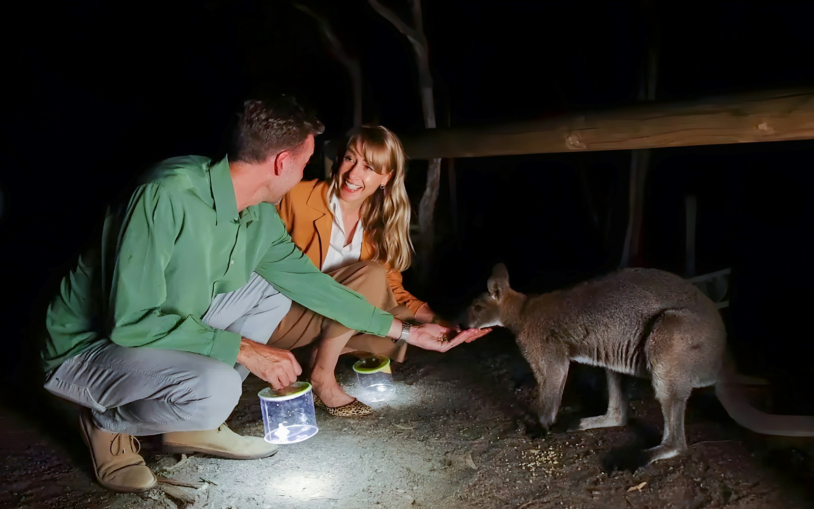 Visitors feeding a kangaroo during Moonlit Sanctuary Wildlife Park Night Tour.