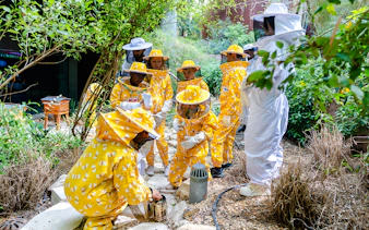 Group in beekeeping suits learning about bees at Terra, Expo City Dubai.