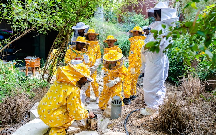 Group in beekeeping suits learning about bees at Terra, Expo City Dubai.