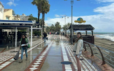 Benalmádena promenade with people walking near Los Mellizos restaurant, palm trees, and beach view.