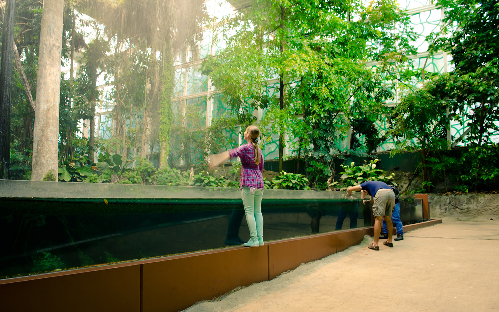 CosmoCaixa barcelona tickets