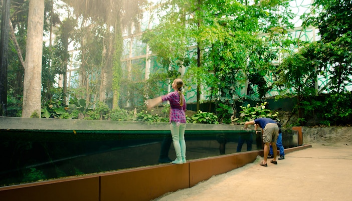 CosmoCaixa barcelona tickets