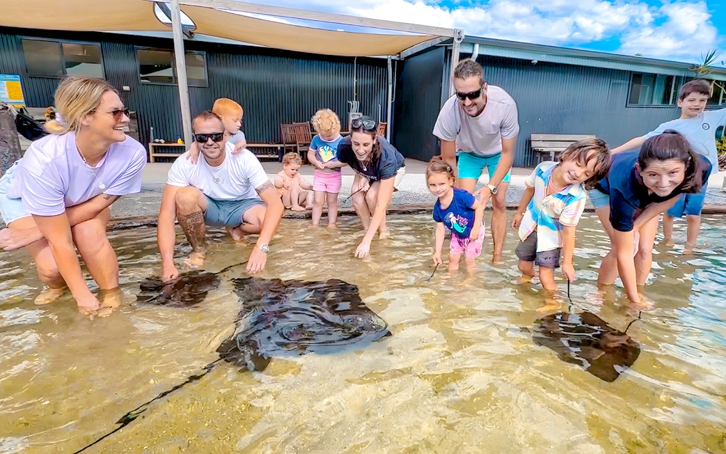 Families interacting with stingrays at Irukandji Shark & Ray Encounters aquarium.
