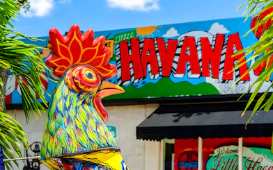 Colorful rooster statue in front of Little Havana mural, Miami.