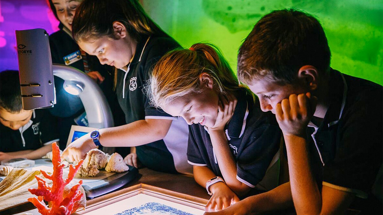 Family observing jellyfish at Jellyfish Kingdom, Sea Life Sunshine Coast, Australia.