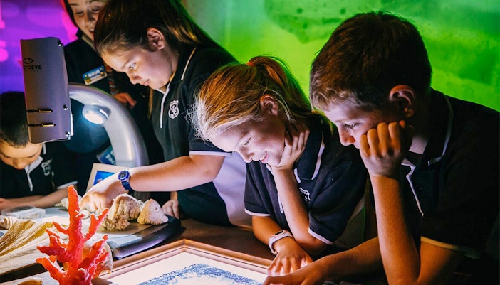 Children viewing marine life at SEA LIFE Sydney Aquarium exhibits