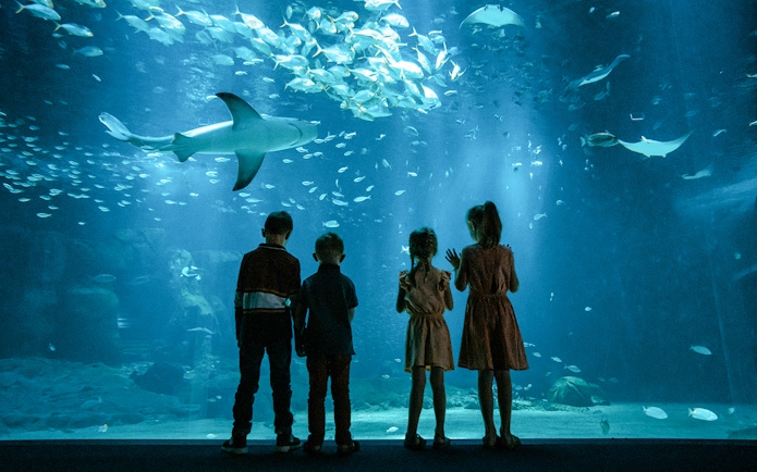 Children watching marine life at Nausicaá aquarium, France.
