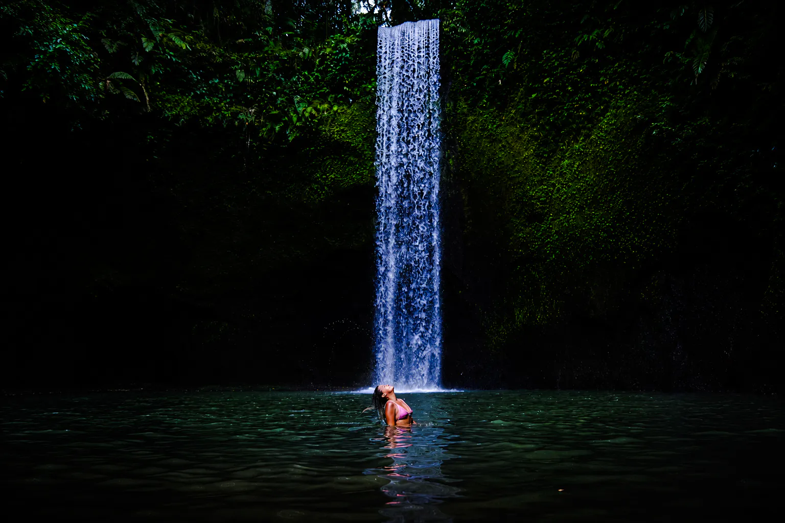 ubud private tour with tickets: ubud monkey forest, tegalalang rice terrace and waterfalls-1