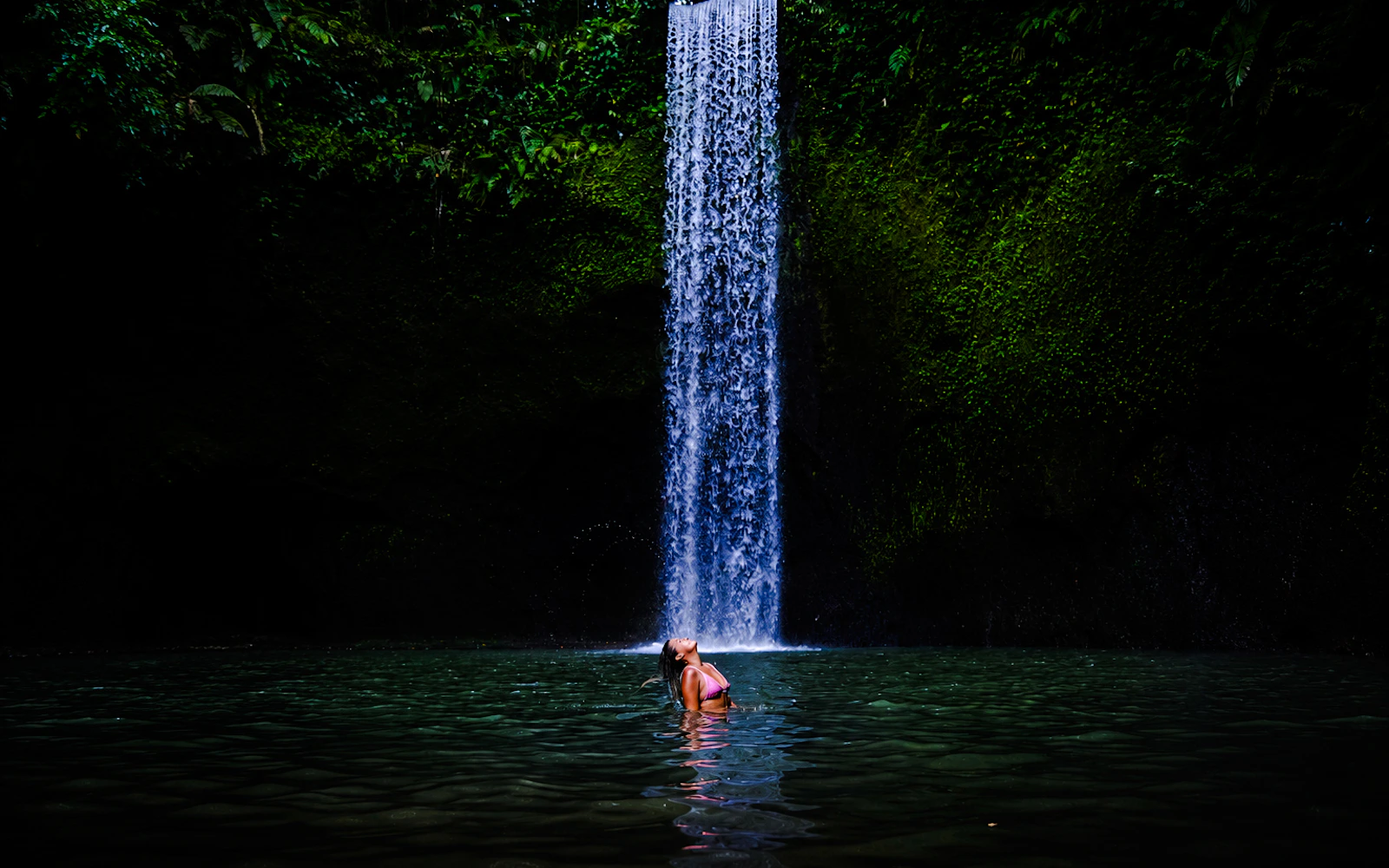 Ubud Private Tour with Tickets: Ubud Monkey Forest, Tegalalang Rice Terrace and Waterfalls