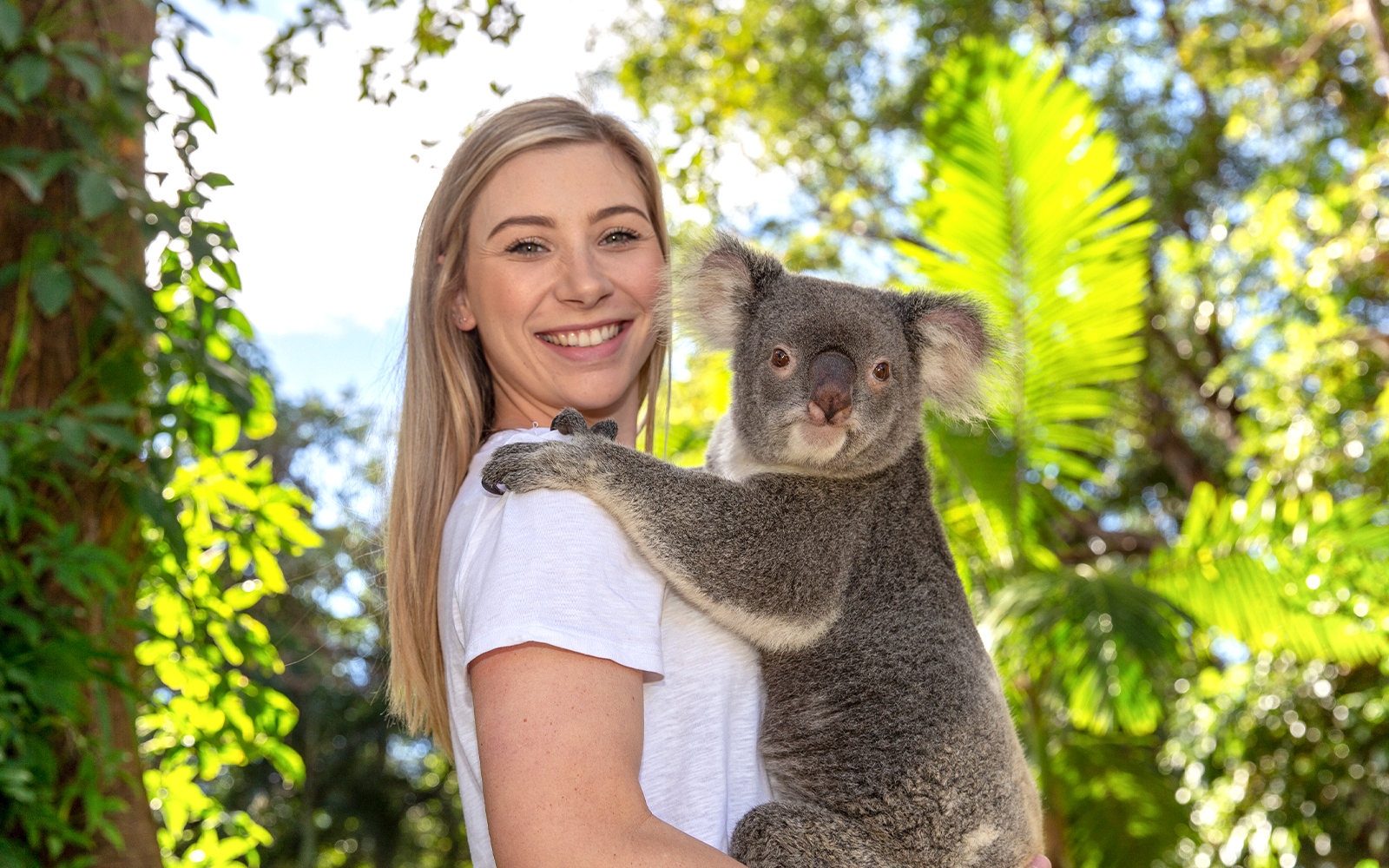 A young woman smiling as she holds a koala at Currumbin Wildlife Sanctuary