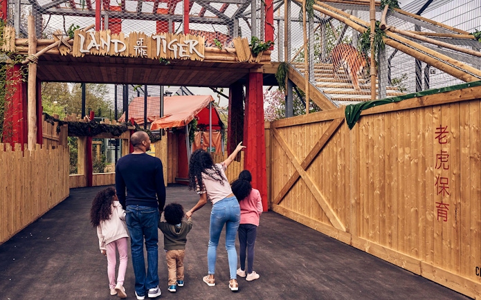 Family observing a tiger in the Land of the Tiger enclosure at Chessington Zoo.