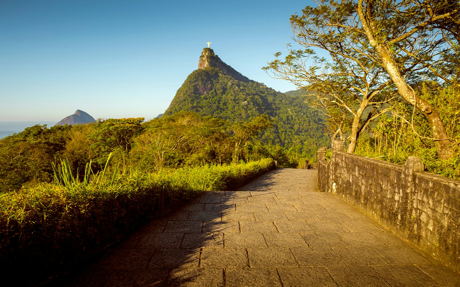 Tijuca National Park