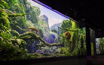 Immersive jungle exhibit with tiger and orangutan at Immersify Kuala Lumpur.