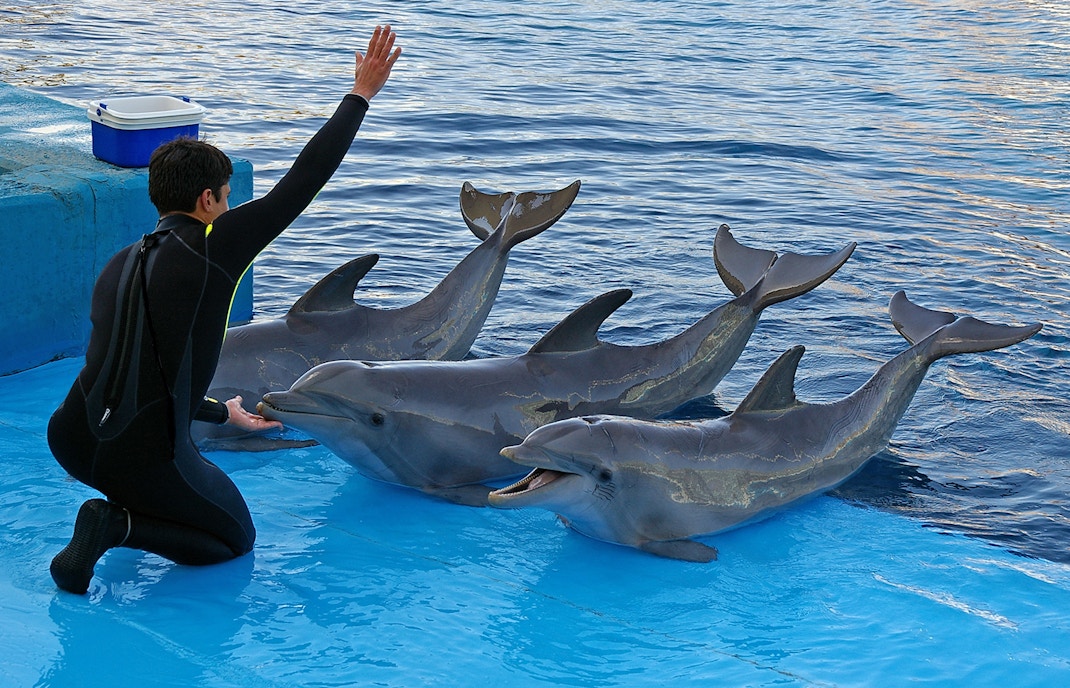 Zoo Aquarium Madrid tickets