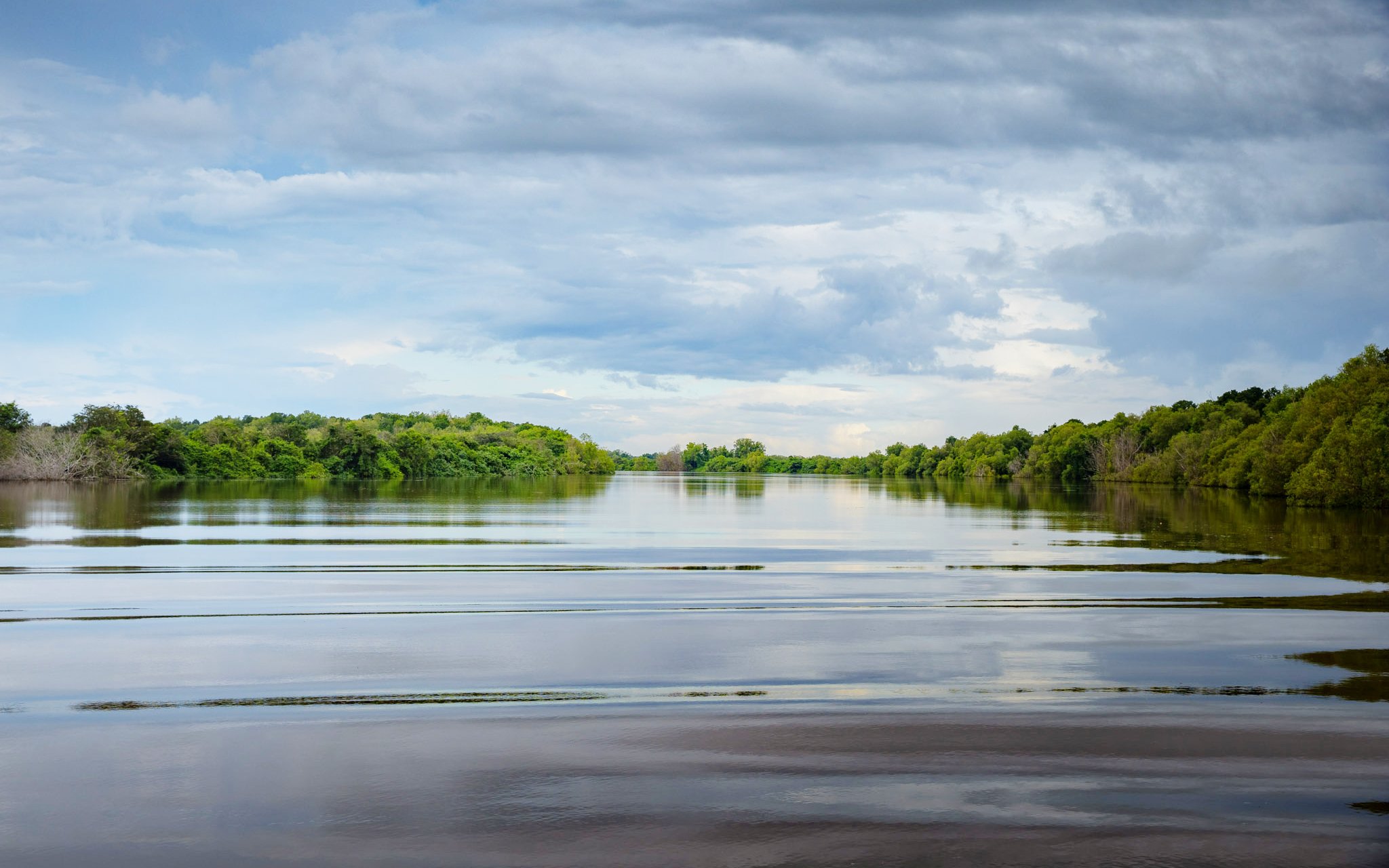 Adelaide River with lush greenery under a cloudy sky, Northern Territory.