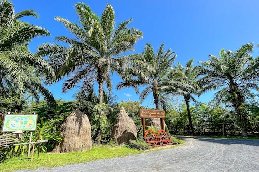 Half-Day Guided Thai Cooking Class & Traditional Thai Farm Tour