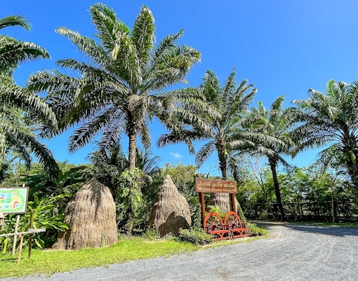 Thai farm entrance with palm trees and traditional haystacks, part of a guided cooking class tour.