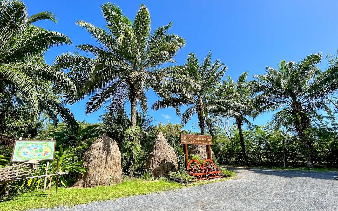 Thai farm entrance with palm trees and traditional haystacks, part of a guided cooking class tour.