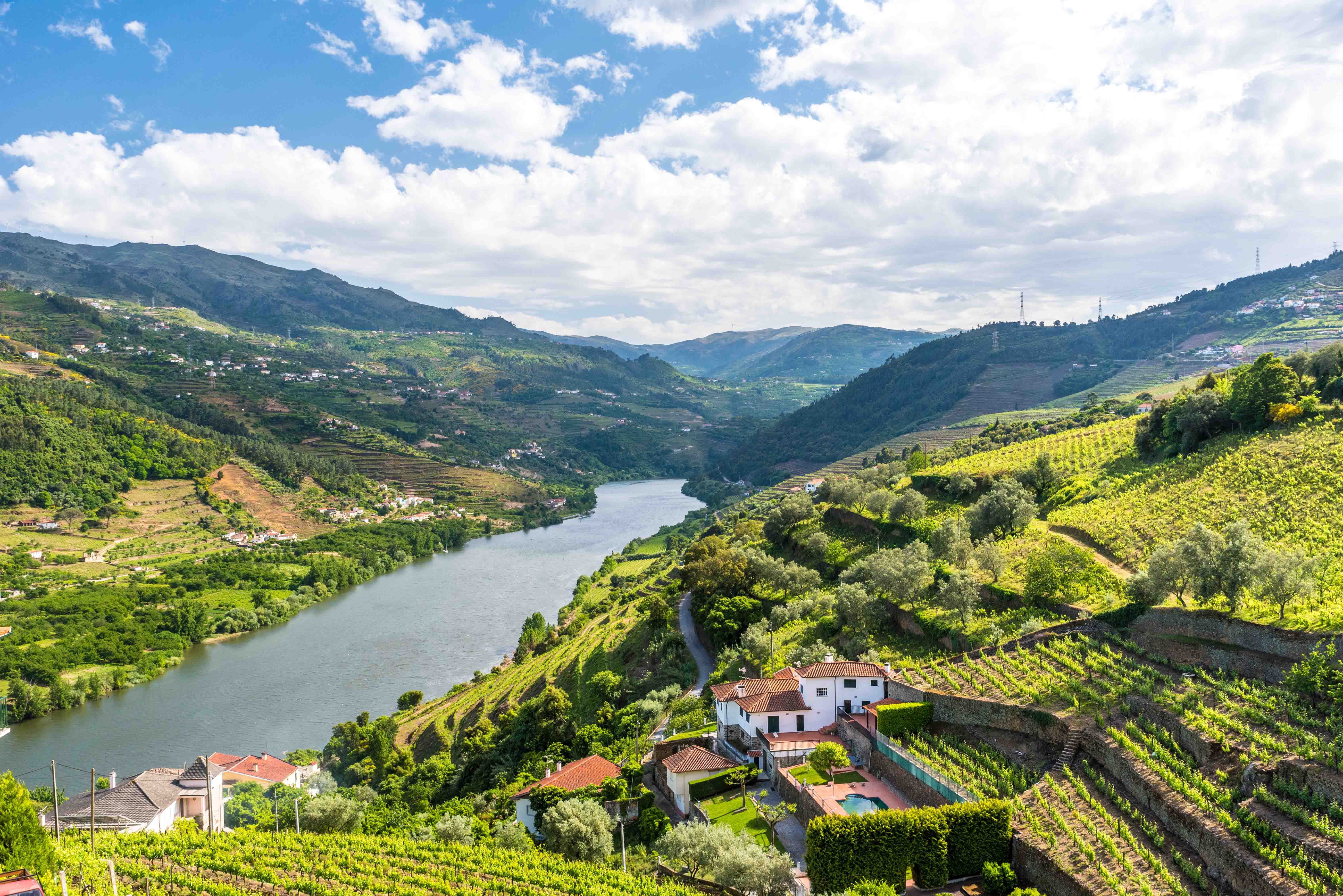 Vineyards and river in Douro Valley, Portugal, with terraced hills and scenic landscape.