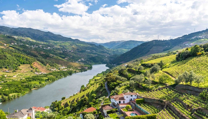 Vineyards and river in Douro Valley, Portugal, with terraced hills and scenic landscape.