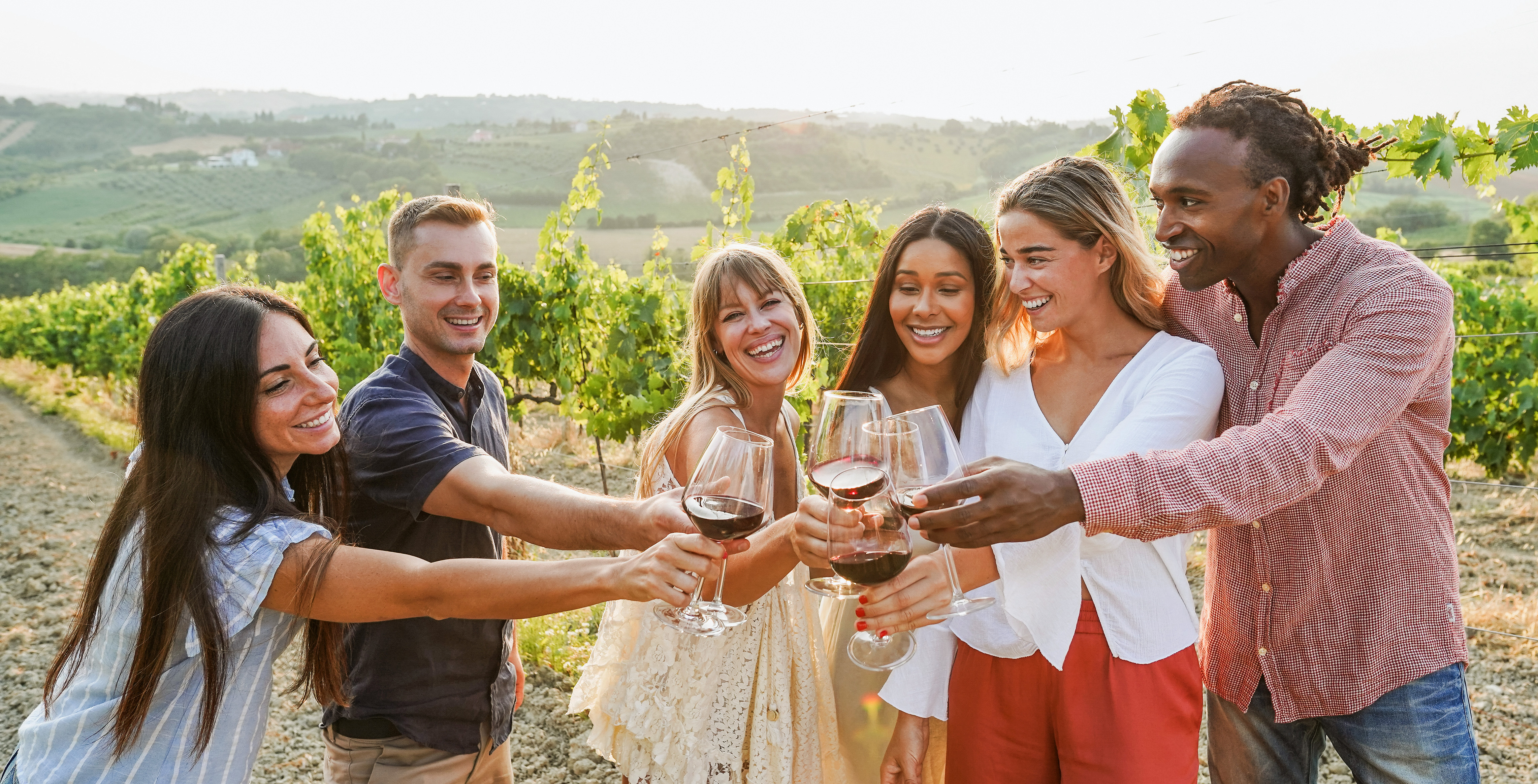 Group tasting wine in Krakow vineyard with scenic view of lush grapevines.
