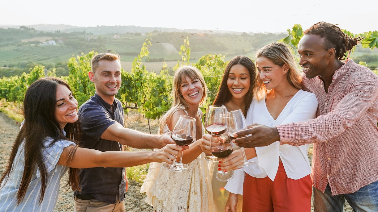 young people drinking wine and talking together