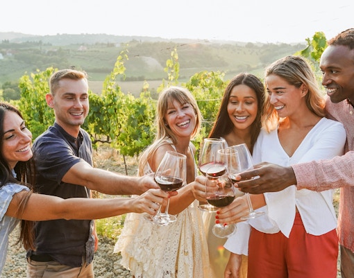 Group tasting wine in Krakow vineyard with scenic view of lush grapevines.