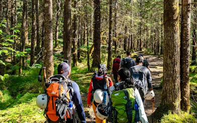 Hikers walking through a forest trail on the Mendenhall Glacier guided hike.