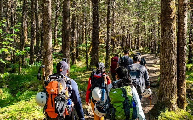 Hikers walking through a forest trail on the Mendenhall Glacier guided hike.