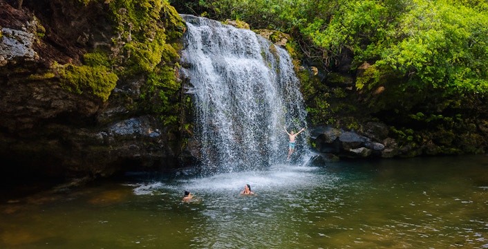 Guests swimming and jumping at a waterfall on the Kohala Zip & Dip tour.