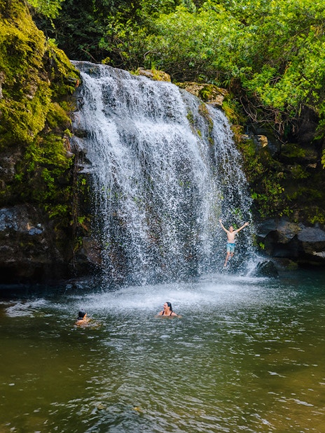 Guests swimming and jumping at a waterfall on the Kohala Zip & Dip tour.