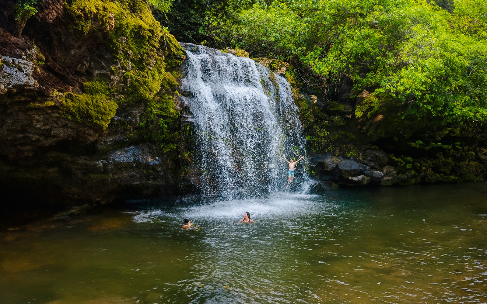 Guests swimming and jumping at a waterfall on the Kohala Zip & Dip tour.