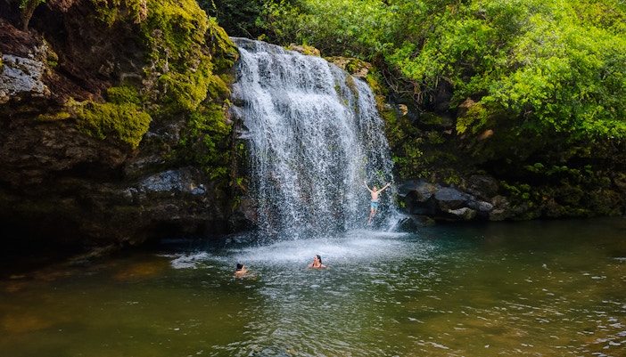 Guests swimming and jumping at a waterfall on the Kohala Zip & Dip tour.