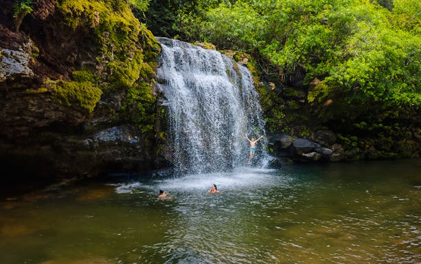 Guests swimming and jumping at a waterfall on the Kohala Zip & Dip tour.