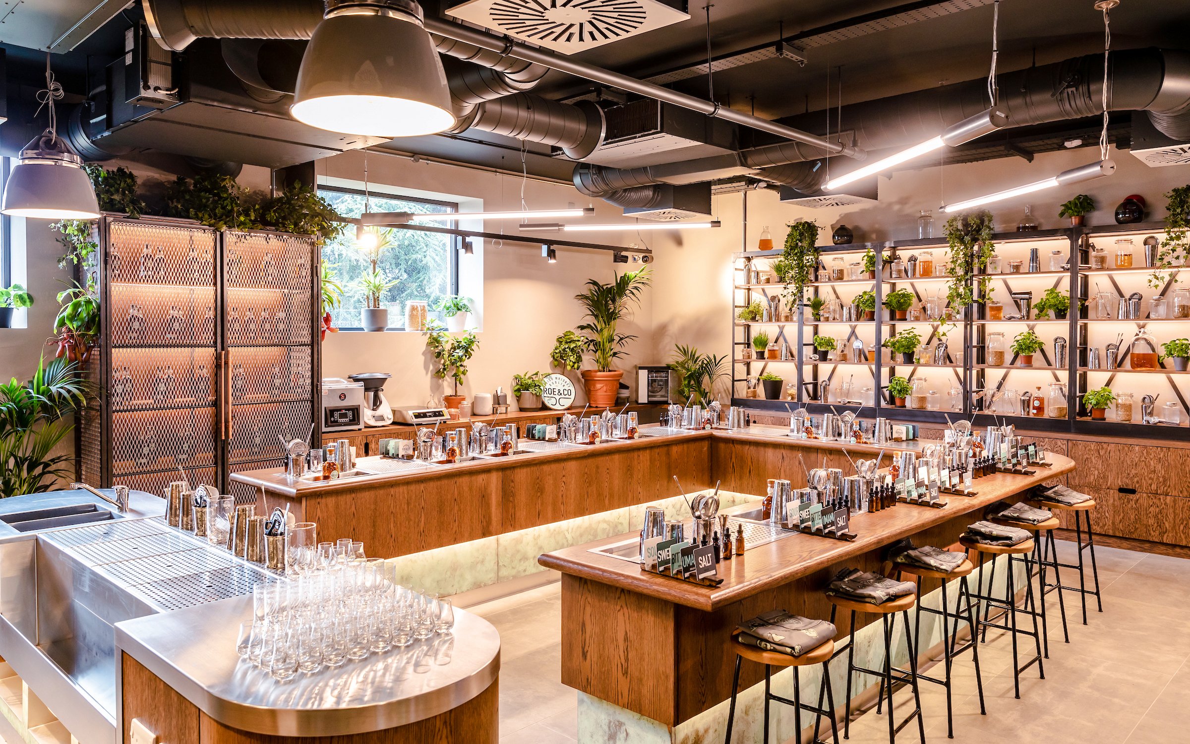 Roe & Co Distillery cocktail workshop setup with bar tools and plants.