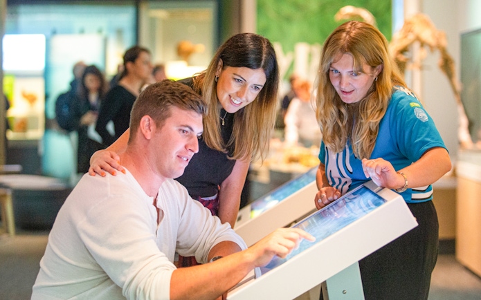 Visitors interacting with digital displays at Museum of NZ Te Papa Tongarewa.