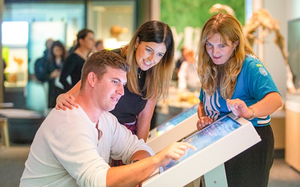 Visitors interacting with digital displays at Museum of NZ Te Papa Tongarewa.