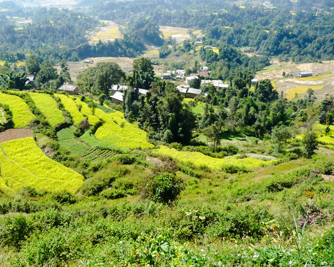 Nagarkot Sunrise Tour with Sallaghari-Changunarayan Hiking