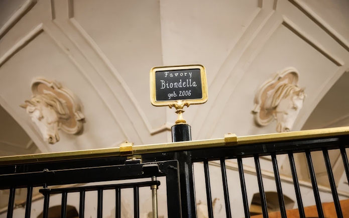 Stallion name plaque for Favory Biondella at Stallburg Imperial Stables.